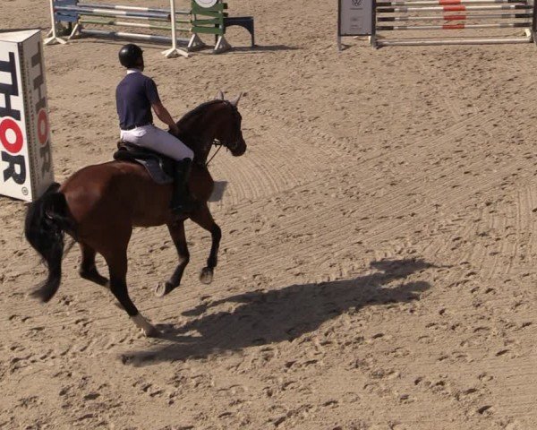 Reitturnier Uder, Reitanlage Kobold 2024