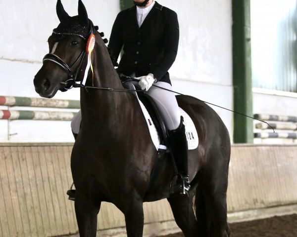 dressage horse Fräulein Frida 7 (Westphalian, 2017, from For Romance I)