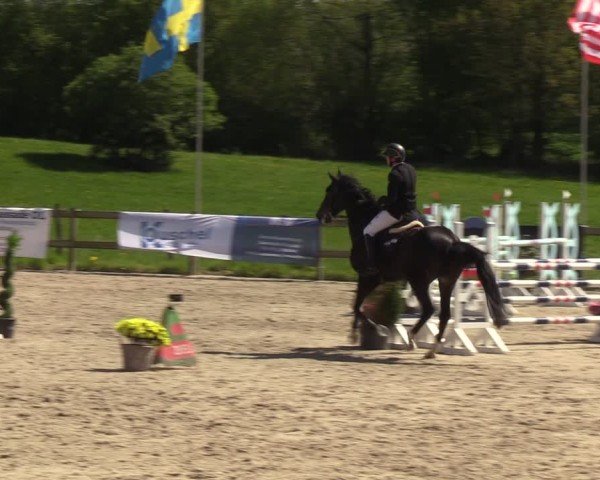 Reitturnier Looperholzer Turniertage 2024