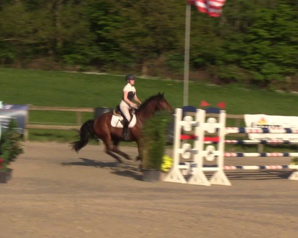 Reitturnier Looperholzer Turniertage 2024