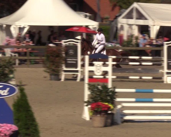 Reitturnier Looperholzer Turniertage 2024