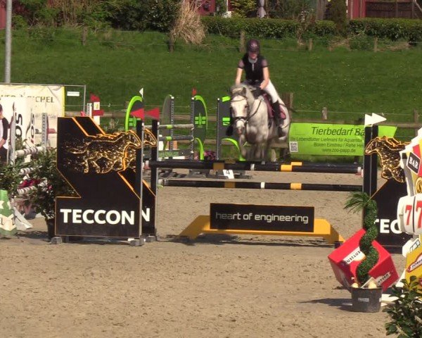 Reitturnier Looperholzer Turniertage 2024
