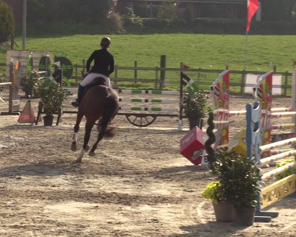 Reitturnier Looperholzer Turniertage 2024
