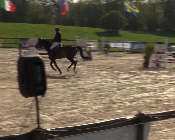 Reitturnier Looperholzer Turniertage 2024