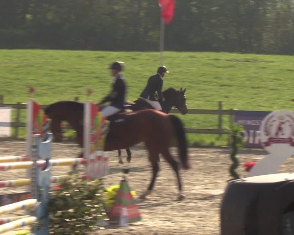 Reitturnier Looperholzer Turniertage 2024