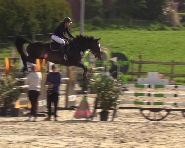 Reitturnier Looperholzer Turniertage 2024