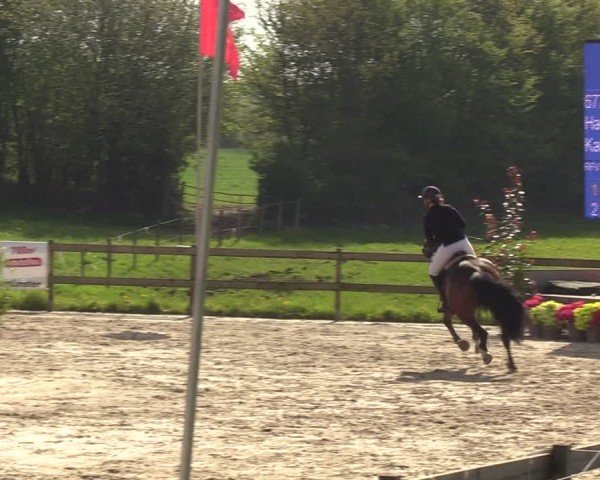 Reitturnier Looperholzer Turniertage 2024