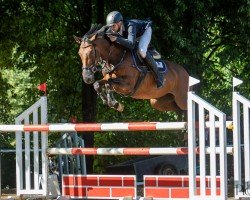 jumper Cataleya M (Polish Warmblood, 2017, from It's me du Mesnil)