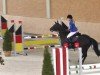 broodmare Gianna Nannini 14 (Oldenburg show jumper, 2010, from Gabbiano 9)