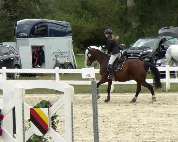 Reitturnier Isny-Rohrdorf 2021