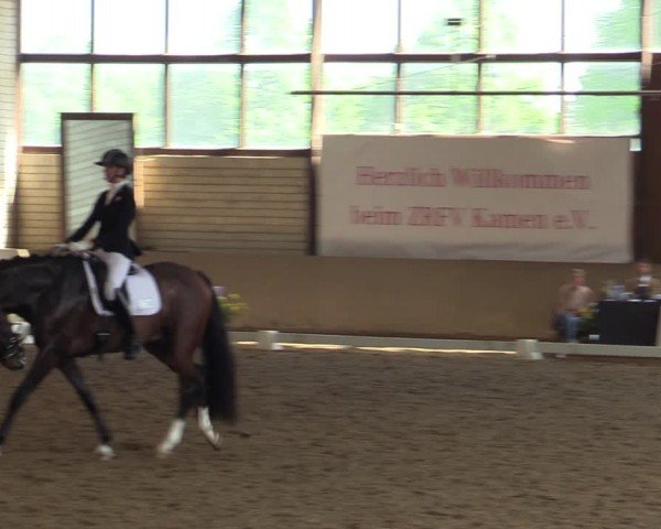 Reitturnier Kamen 2024