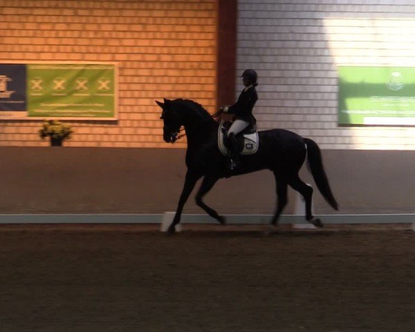 Reitturnier Kamen 2024