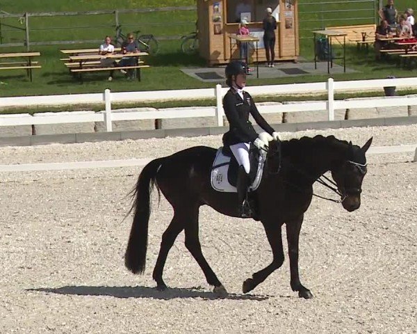 Reitturnier Gut Bohmerhof-Wackersberg/Obb. 2024