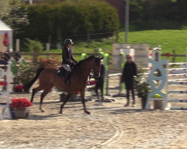 Reitturnier Looperholzer Turniertage 2024