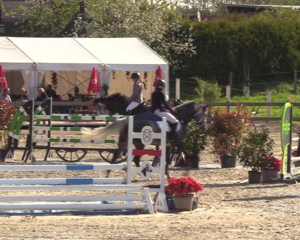 Reitturnier Looperholzer Turniertage 2024
