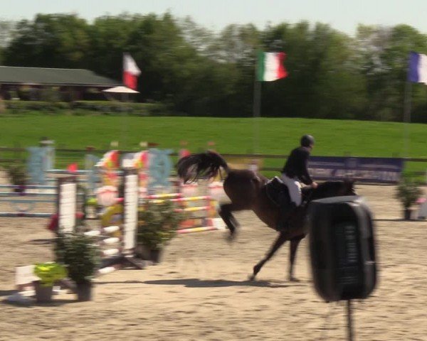 Reitturnier Looperholzer Turniertage 2024