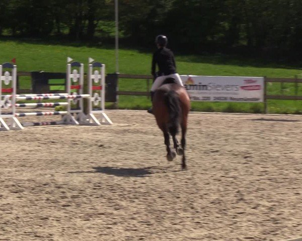 Reitturnier Looperholzer Turniertage 2024
