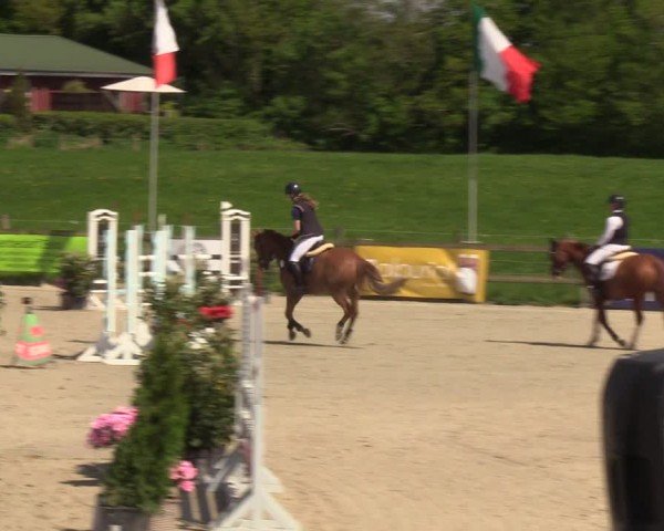 Reitturnier Looperholzer Turniertage 2024