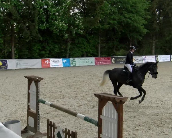 Reitturnier Karlsfeld/Obb. 2024