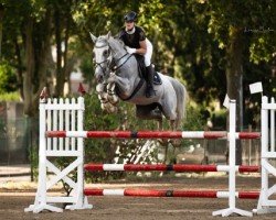 jumper Eagle Blue (KWPN (Royal Dutch Sporthorse), 2009, from Mr Blue)