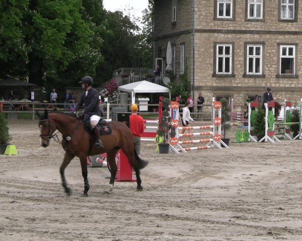 Reitturnier Hildesheim-Steuerwald 2024