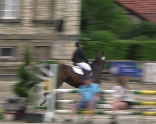 Reitturnier Hildesheim-Steuerwald 2024