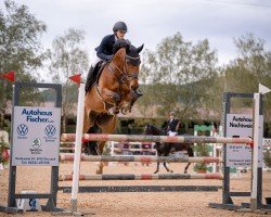 jumper Tapsoba (Oldenburg show jumper, 2017, from Tangelo van de Zuuthoeve)