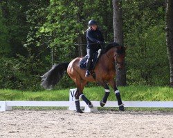 dressage horse Be my Friend 10 (Hanoverian, 2020, from Callaho's Benicio)