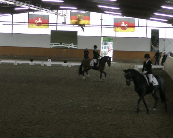 Reitturnier Hildesheim-Steuerwald 2024