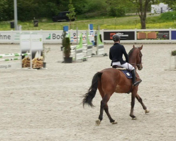 Reitturnier Babenhausen/Schw. 2024