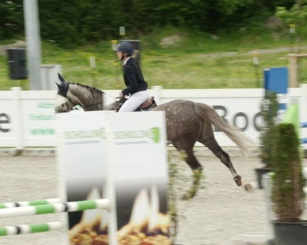 Reitturnier Babenhausen/Schw. 2024