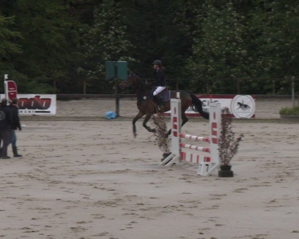 Reitturnier Wuppertal-Gelpe 2024