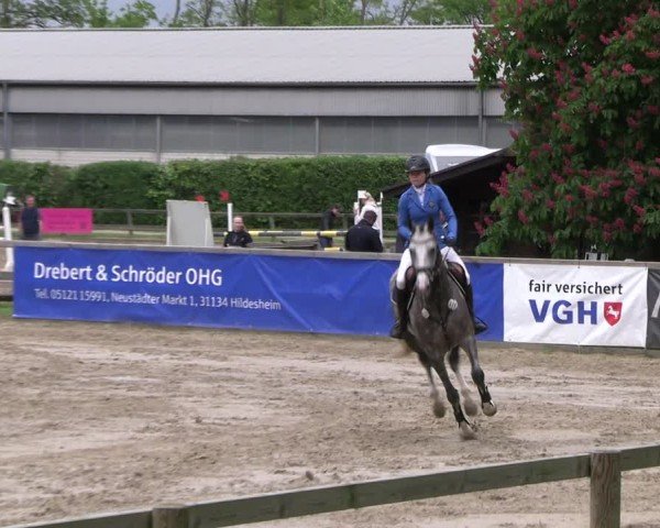Reitturnier Hildesheim-Steuerwald 2024