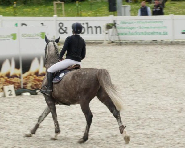 Reitturnier Babenhausen/Schw. 2024