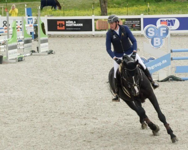 Reitturnier Babenhausen/Schw. 2024