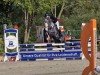 jumper Caramba 128 (Zangersheide riding horse, 2020, from Columbus Z 3)