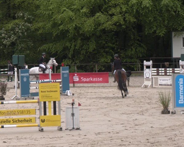 Reitturnier Wuppertal-Gelpe 2024