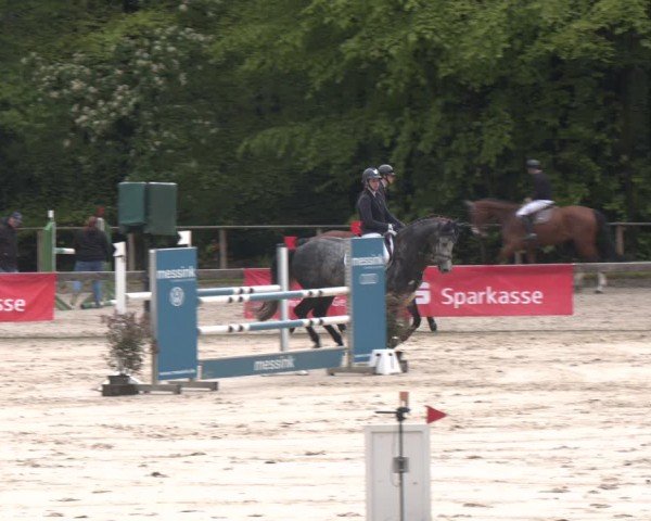 Reitturnier Wuppertal-Gelpe 2024