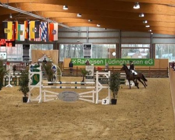 Rosendorf-Classics 2012