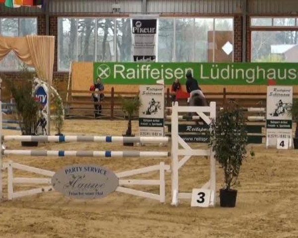 Rosendorf-Classics 2012