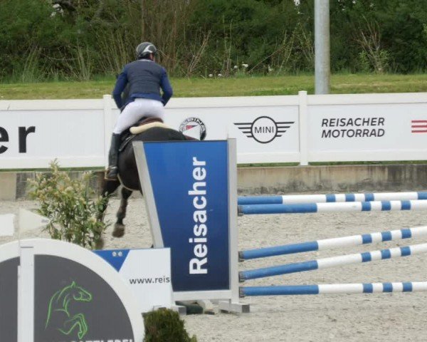 Reitturnier Babenhausen/Schw. 2024