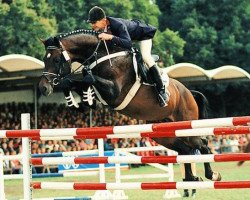 stallion Lesotho (Holsteiner, 1988, from Landgraf I)