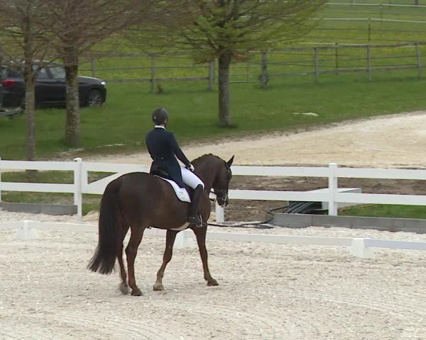 Reitturnier Gut Bohmerhof-Wackersberg/Obb. 2024