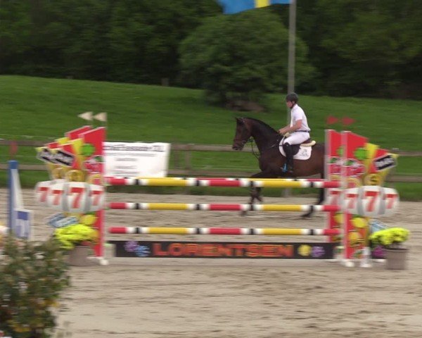 Reitturnier Looperholzer Turniertage 2024