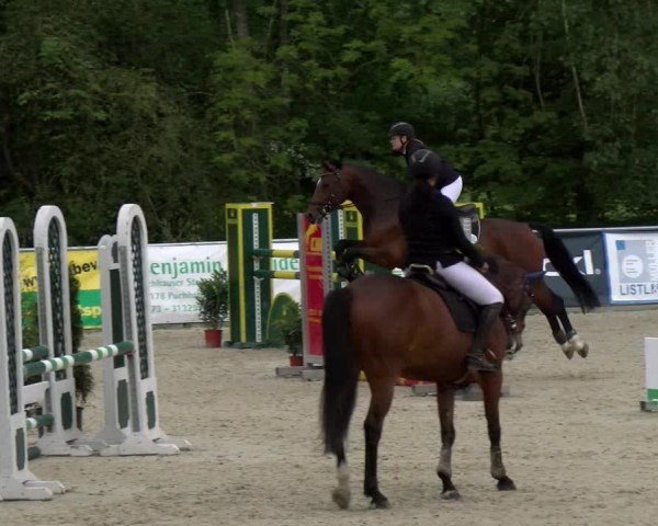 Reitturnier Karlsfeld/Obb. 2024