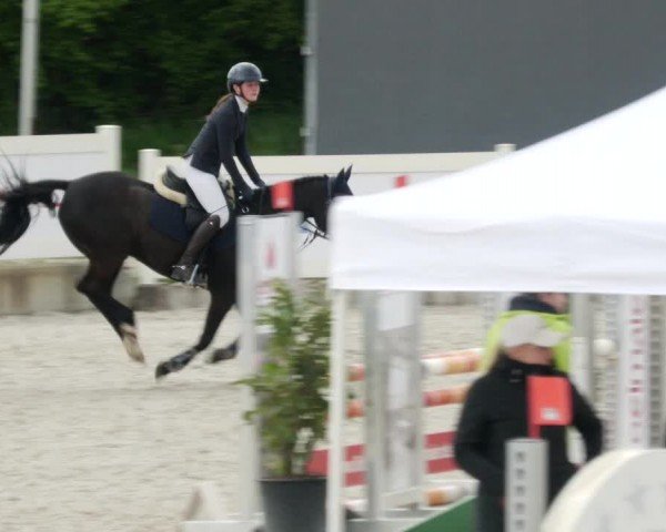 Reitturnier Babenhausen/Schw. 2024