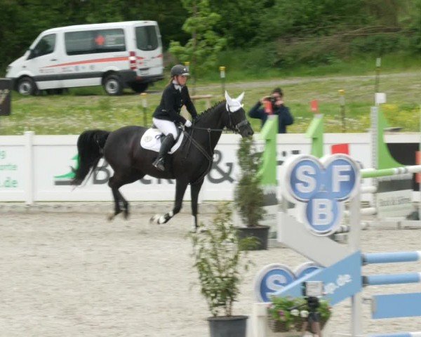Reitturnier Babenhausen/Schw. 2024