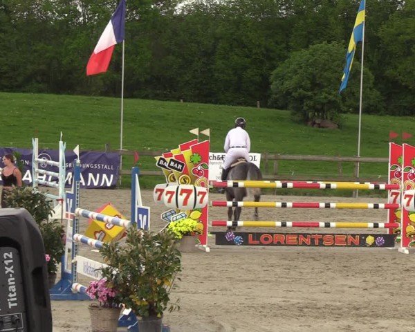 Reitturnier Looperholzer Turniertage 2024