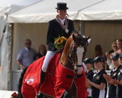 stallion Lissaro (Hanoverian, 2005, from Lissabon 29)