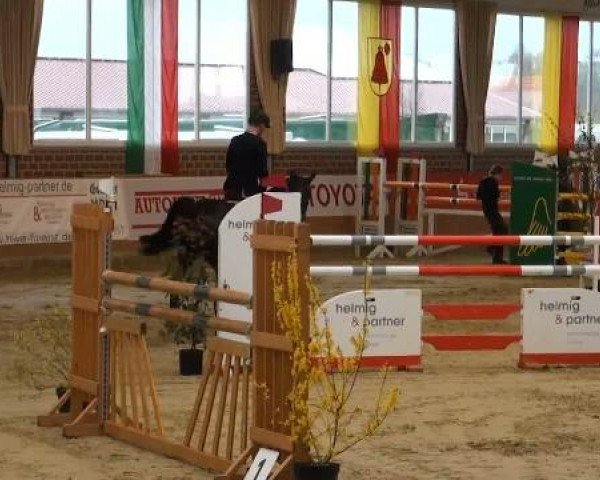 Rosendorf-Classics 2012